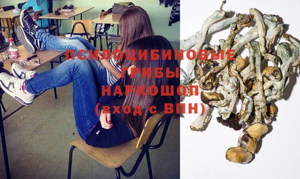 меф Богородицк
