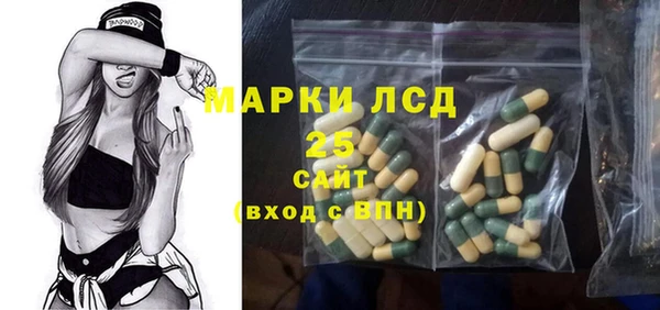spice Богородск