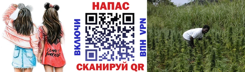 Бошки Шишки планчик  наркотики  Кисловодск 